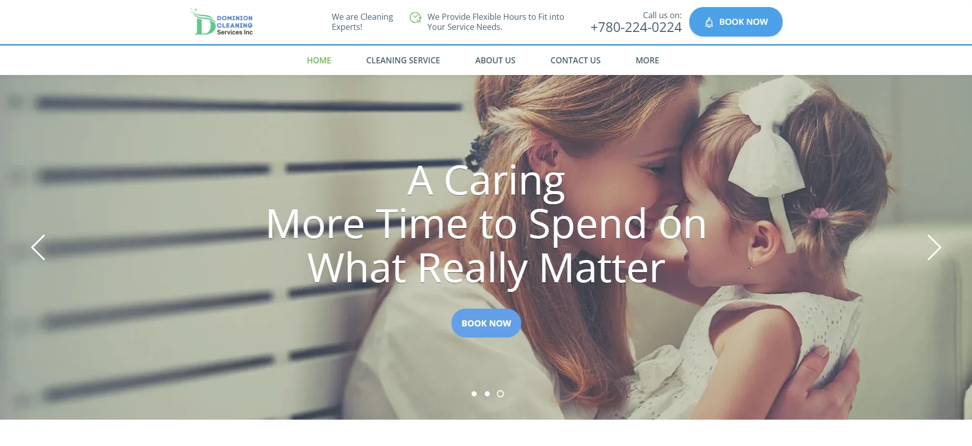 Cleaning Service Company Website